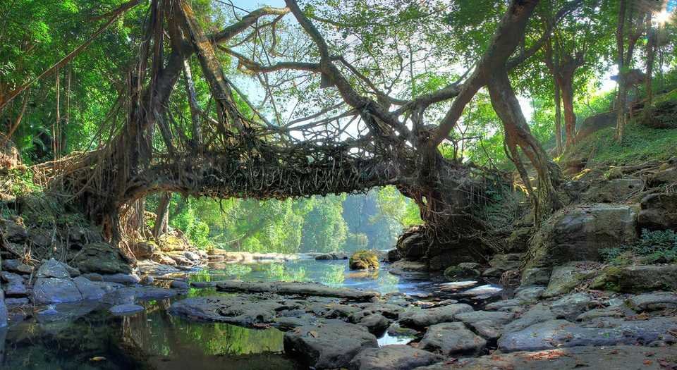 Why You Should Visit Meghalaya – A Hidden Paradise in India