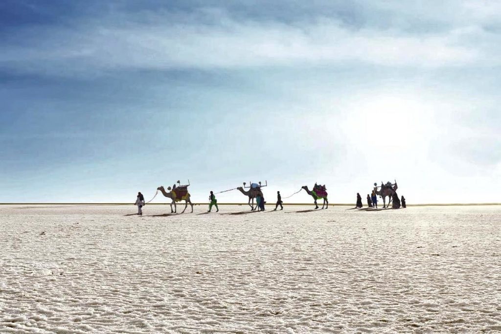 The Great Rann of Kutch:A Land of Natural Beauty and Cultural Richness