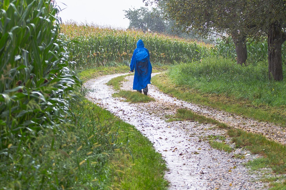 5 Easy Sahyadri Monsoon Treks in Maharashtra