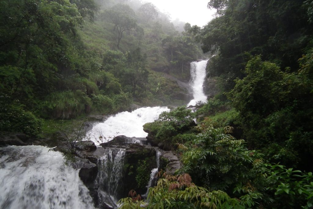 Wayanad A Journey into Nature’s Embrace