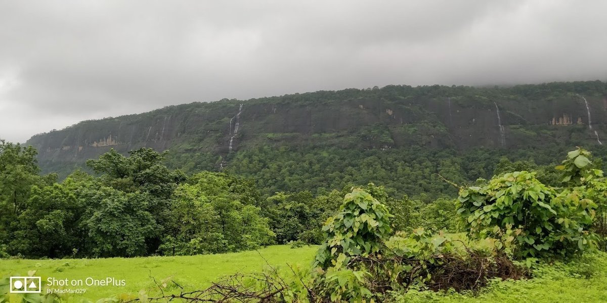 Lonavala to Bhimashankar Range Trek - Tour